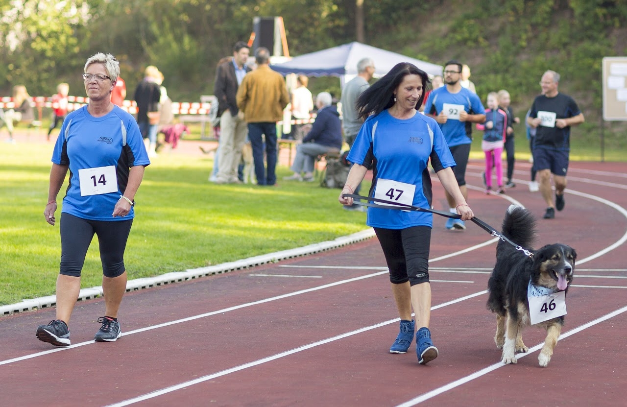 Bild vom 9. Benefizlauf im Jahr 2016. Dies ist das 45. Bild.